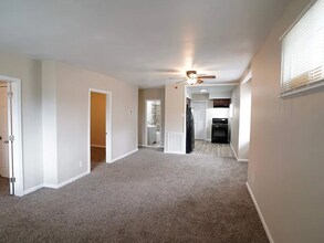 17144 Heyden St in Detroit, MI - Building Photo - Building Photo