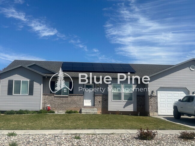 property at 3865 Cobalt Dr