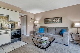 40 Scenic Ct, Unit 1 in Branson, MO - Building Photo