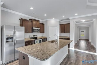 173 Heritage Brook Dr in Madison, AL - Building Photo - Building Photo