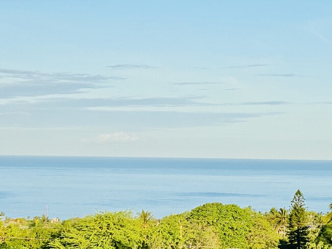 property at 3360 Kuaua Pl