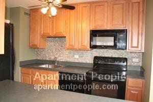 70 W Burton Pl-Unit -1005 in Chicago, IL - Building Photo - Building Photo