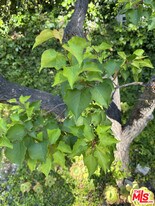 23444 Park Hermosa in Calabasas, CA - Building Photo