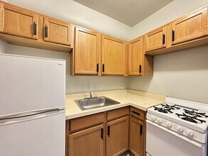 1160 N Dearborn St, Unit J01W in Chicago, IL - Building Photo - Building Photo