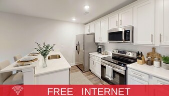 203 Winding Chestnut Dr in Columbia, SC - Building Photo