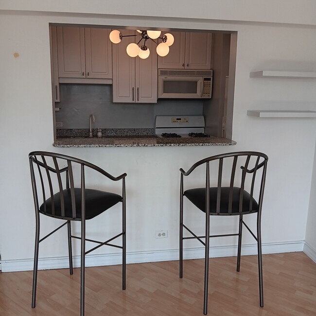 property at 1150 N Lake Shore Dr
