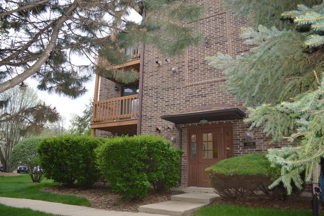 2230 Abbeywood Dr in Lisle, IL - Building Photo