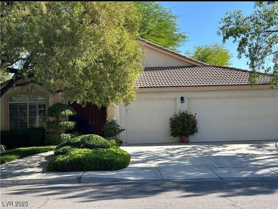 1782 Castro Hill Ave in Henderson, NV - Building Photo