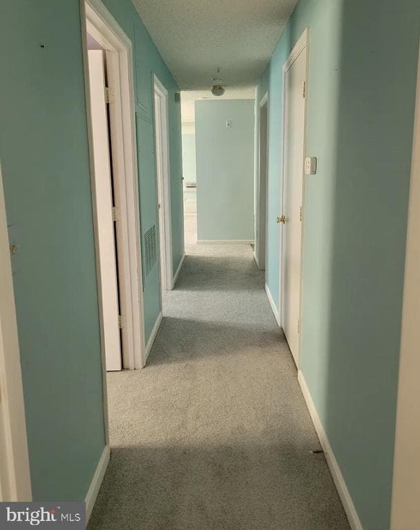 property at 2806 Clear Shot Dr