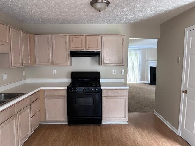 908 Vintage Pointe Dr in Lawrenceville, GA - Building Photo - Building Photo