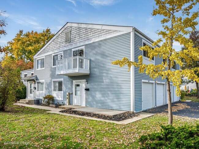 823 Cambridge Pl in Wheeling, IL - Building Photo - Building Photo