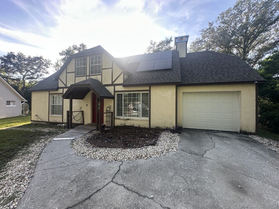 381 S Cobble Ct in Mount Dora, FL - Building Photo