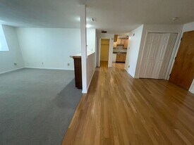 34 Newhall St in Lowell, MA - Building Photo