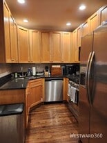 1155 W Grace St in Chicago, IL - Building Photo