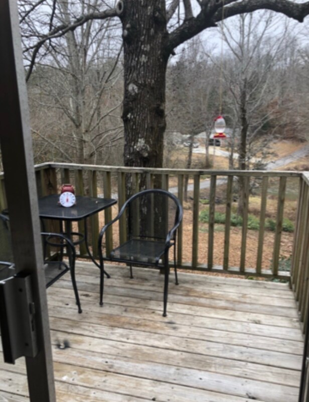 4241 Springhill Dr in Tuscaloosa, AL - Building Photo - Building Photo