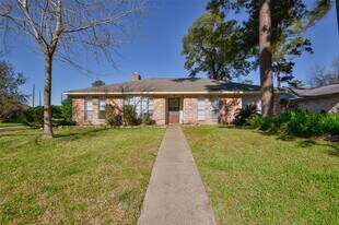 4203 Sloangate Dr in Spring, TX - Building Photo