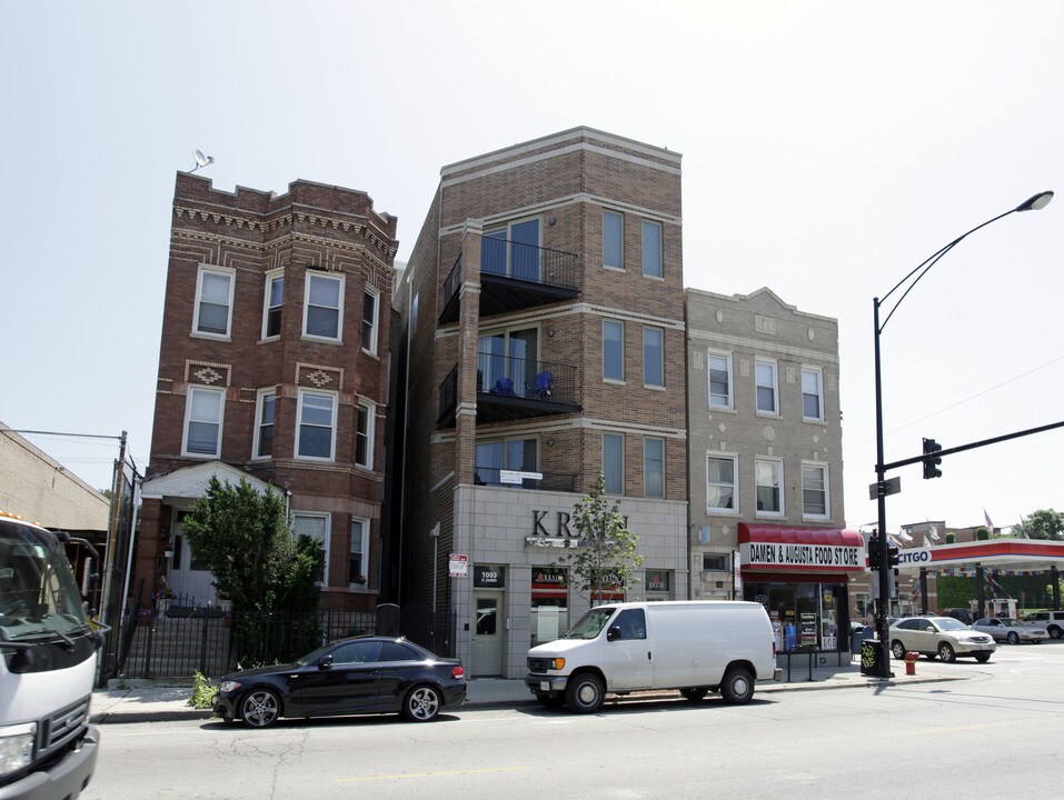 1003 N Damen Ave in Chicago, IL - Building Photo