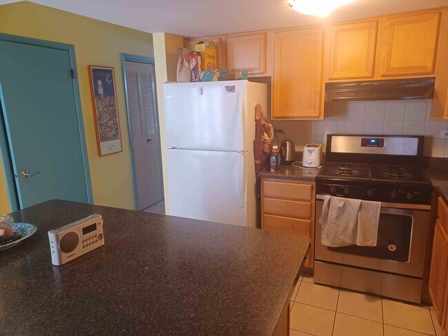 4707 N Paulina St in Chicago, IL - Building Photo - Building Photo