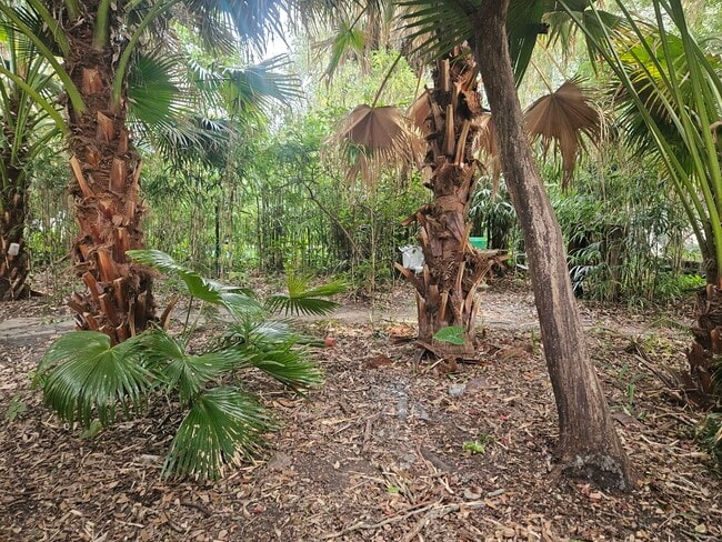 2326 Esplanade Ave, Unit 2326 Esplanade-Cottage in New Orleans, LA - Building Photo - Building Photo