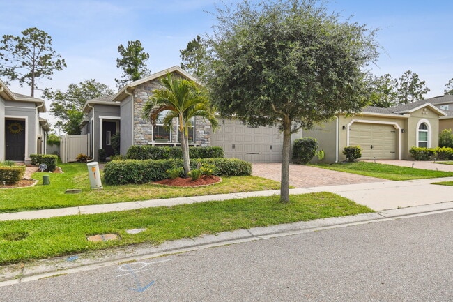 1553 Amber Leaf Cir in Ocoee, FL - Building Photo - Building Photo