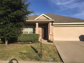 317 Parakeet Dr in Little Elm, TX - Building Photo