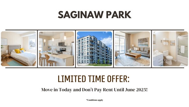 Saginaw Park