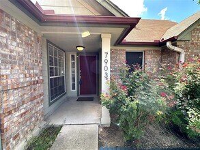7903 Tiger Eye Cove in Austin, TX - Building Photo - Building Photo