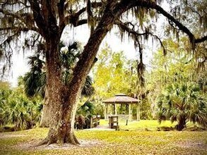 314 Palm Coast Pkwy NE in Palm Coast, FL - Building Photo - Building Photo