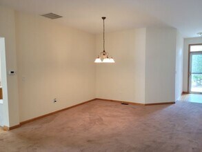 21357 W Douglas Ln in Plainfield, IL - Building Photo - Building Photo