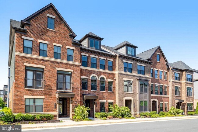 43372 Whitehead Ter in Ashburn, VA - Building Photo - Building Photo
