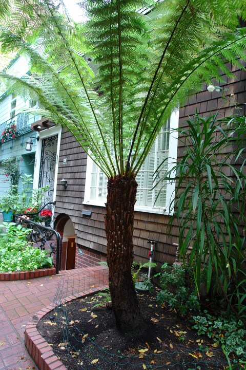 74 Macondray Ln in San Francisco, CA - Building Photo