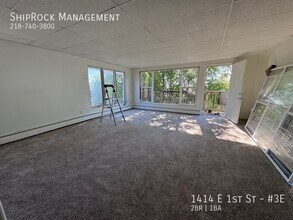 1414 E 1st St in Duluth, MN - Building Photo - Building Photo