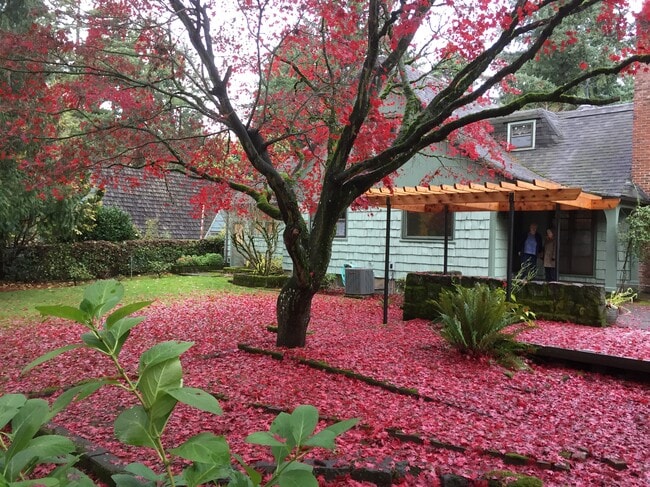 3846 NE Maywood Pl in Portland, OR - Building Photo - Building Photo