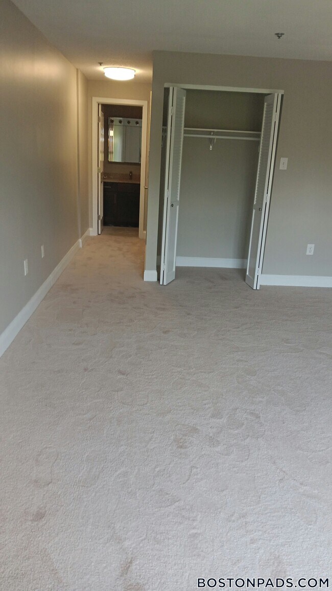 1111 Beacon St, Unit 45 in Brookline, MA - Building Photo - Building Photo