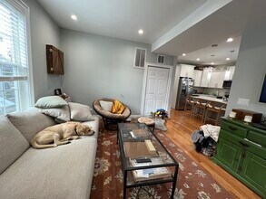 20 Kenton Rd in Boston, MA - Building Photo - Building Photo