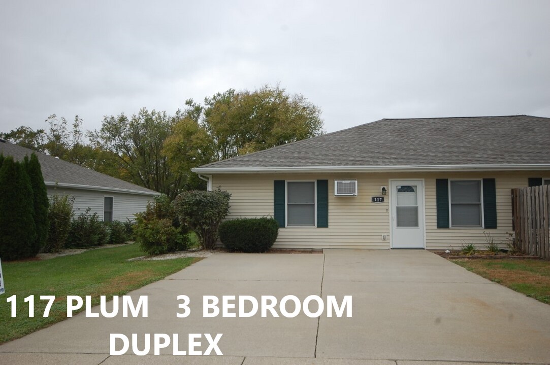 115-117 S Plum St in Boone, IA - Building Photo