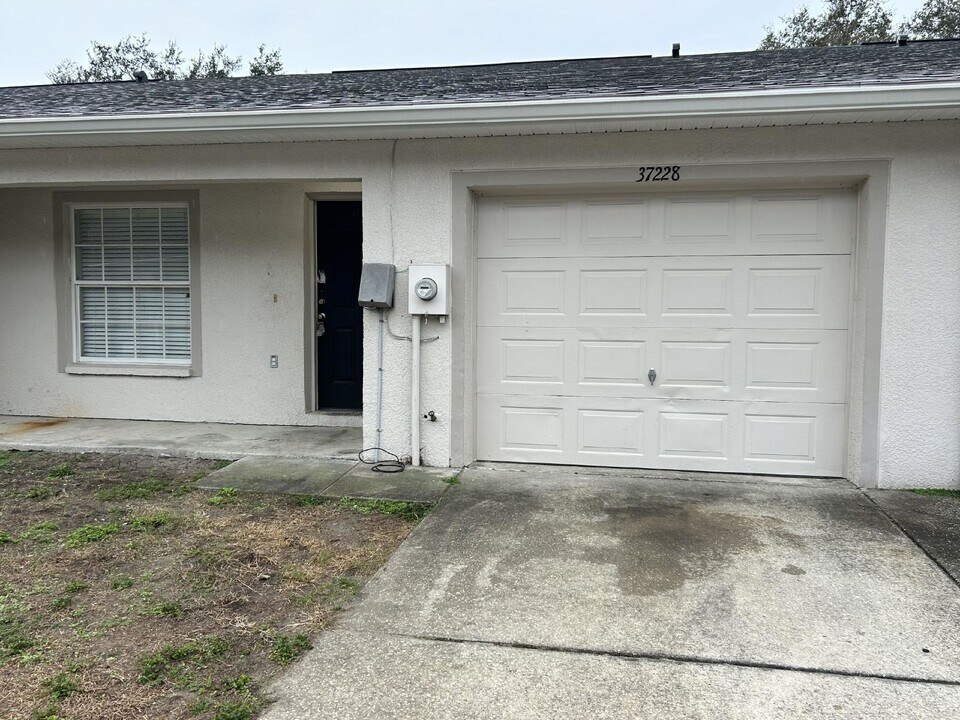 37228 Grassy Hill Ln in Dade City, FL - Building Photo
