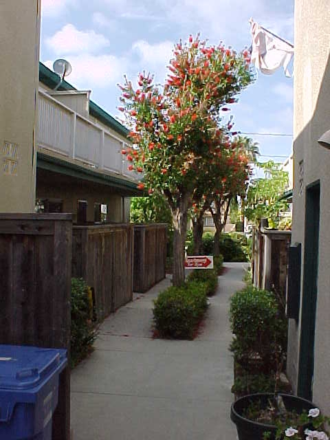 2010 Ruhland Ave in Redondo Beach, CA - Foto de edificio - Building Photo