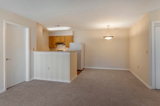 Arboretum Place Apartments in Newport News, VA - Building Photo - Building Photo