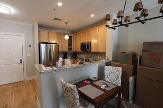 59 Walpole St, Unit 215 in Canton, MA - Building Photo - Building Photo