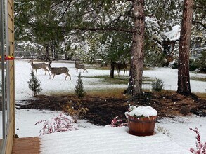 64131 Tumalo Rim Dr in Bend, OR - Building Photo - Building Photo