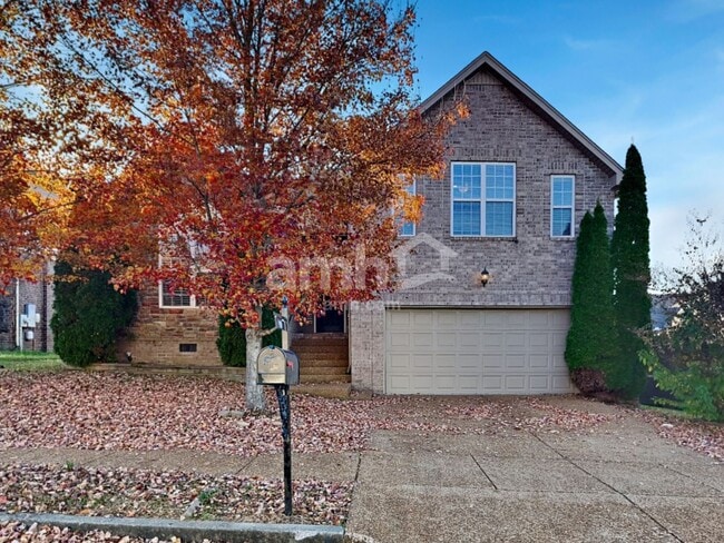 property at 929 Morning Rd