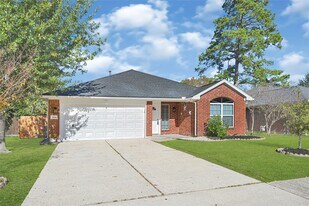 26214 Cypresswood Dr in Spring, TX - Building Photo