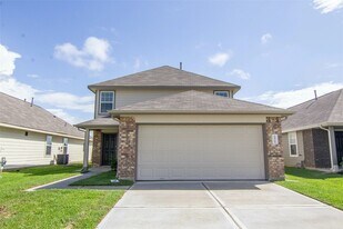 24355 Treviso Gardens Dr in Katy, TX - Building Photo
