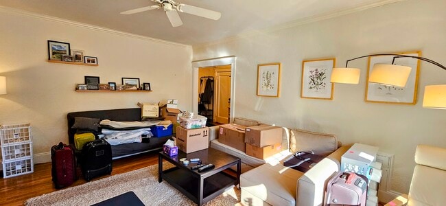 52 Babcock St, Unit 5 in Brookline, MA - Building Photo - Building Photo