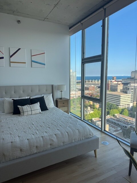 1720 S Michigan Ave, Unit 2409 in Chicago, IL - Building Photo