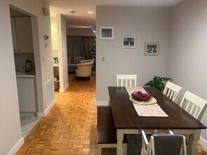 11 Fresh Pond Pl in Cambridge, MA - Building Photo - Building Photo