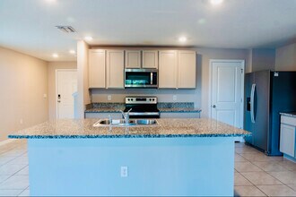 11730 White Willow Ln in Riverview, FL - Foto de edificio - Building Photo