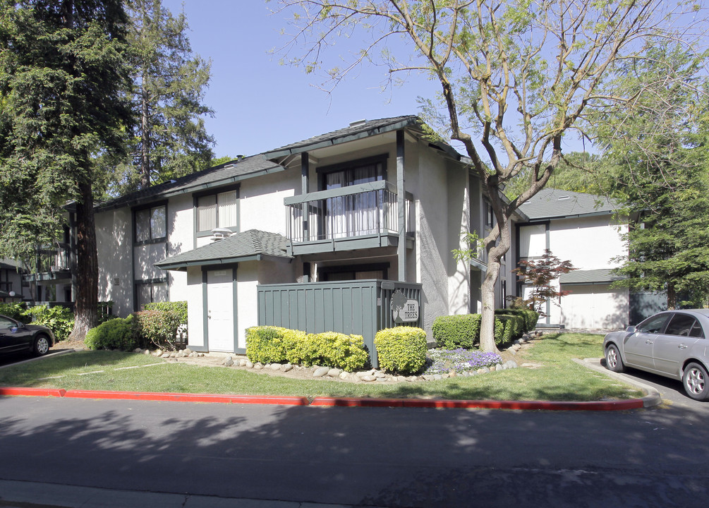 The Trees in Davis, CA - Building Photo