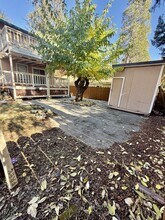 319 Chapel St in Grass Valley, CA - Building Photo - Building Photo